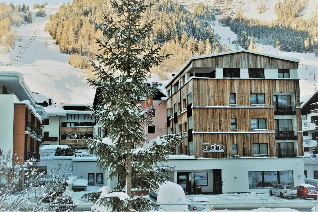 Hotel Andino