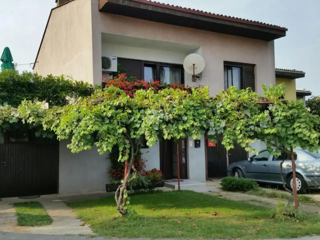Apartment Vir