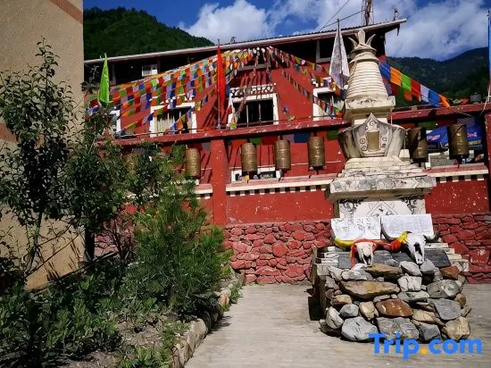 Reed Sea Courtyard Homestay