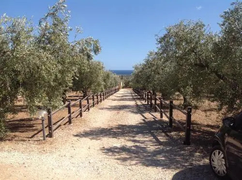 Rustico degli Ulivi