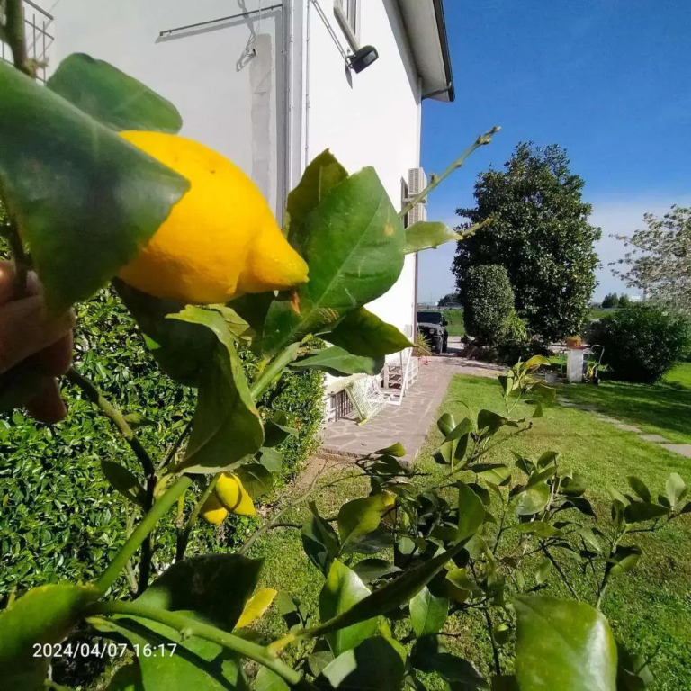La Magnolia - Fano