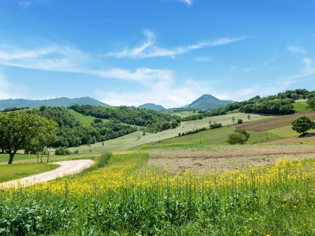 Rural apartment in Matelica with shared pool