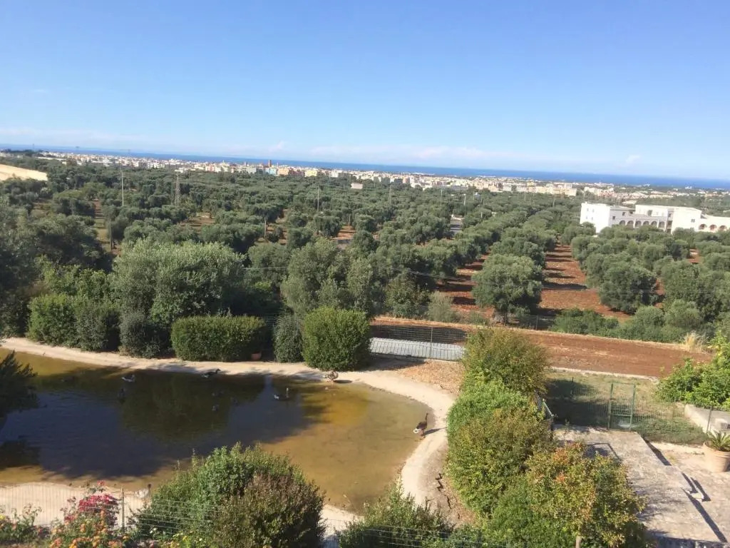 Appartamento Giardinelli - Giulia