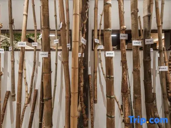 Zhi Zhi Home · Bamboo Art Homestay