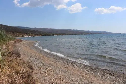 Vassia 1