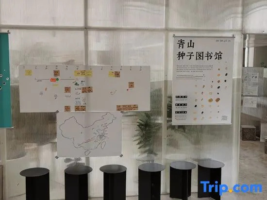 Hangzhou Qingshan Qingnianshe Longwuli Homestay