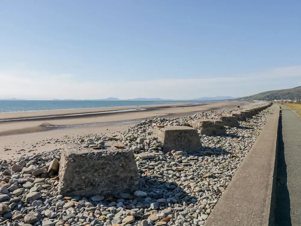 Minydon