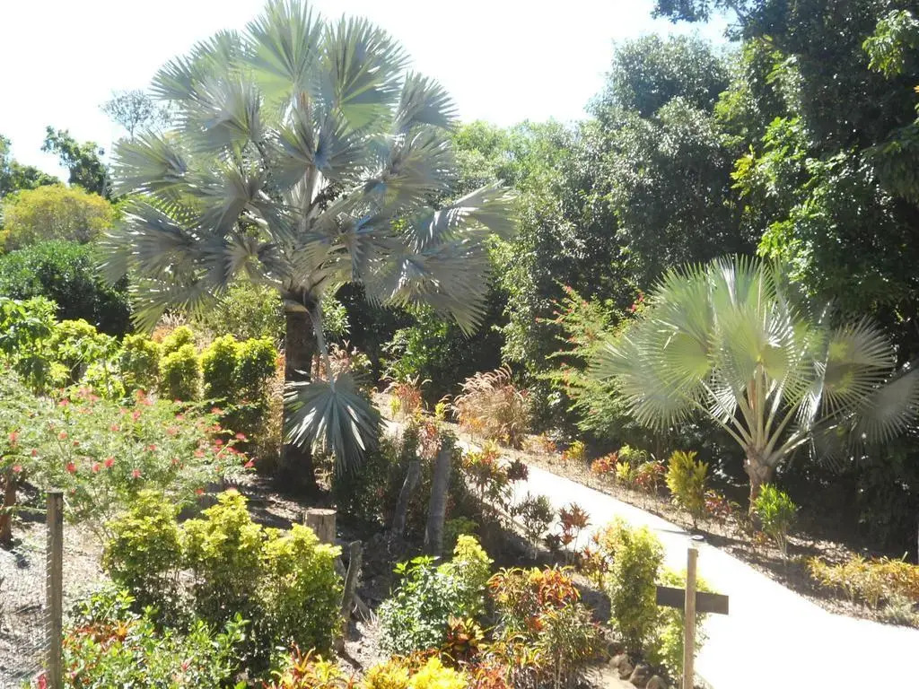 Licuala Lodge
