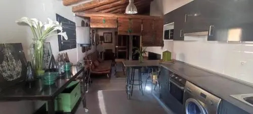 Apartamentos Basilicus