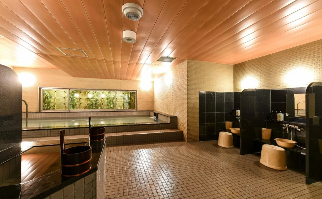 Hida Takayama Washington Hotel Plaza