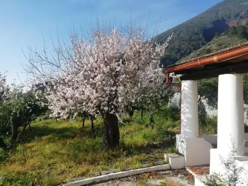 Da Marusca