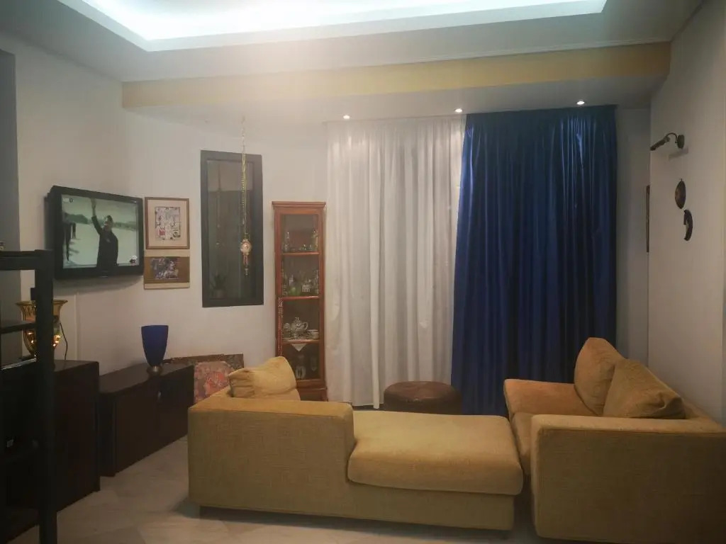 Cactus Suite