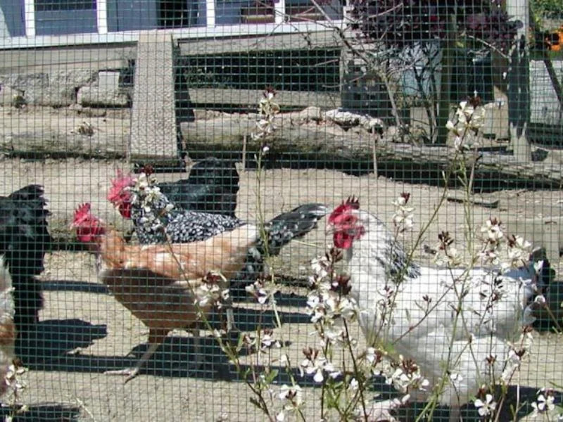 A Culinary Experience Luxury Bed And Breakfast