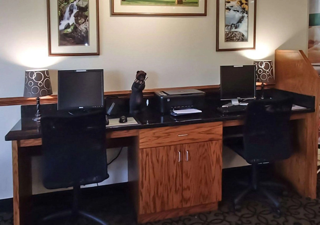 Quality Inn & Suites Boone - University Area