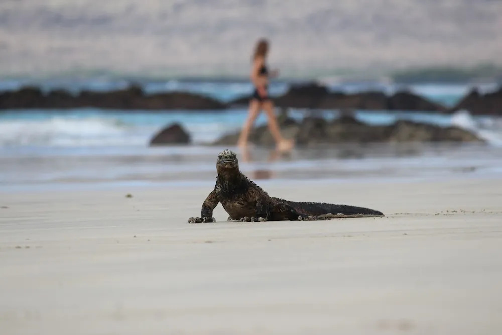 Hotel Isamar Galapagos Beachfront