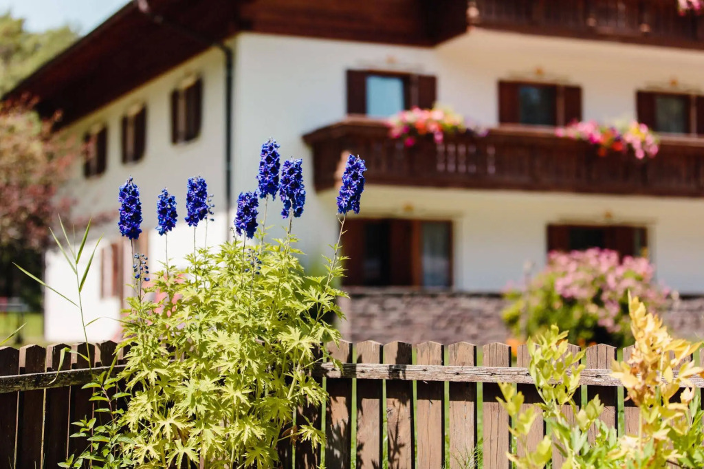 Hotel Waldsee
