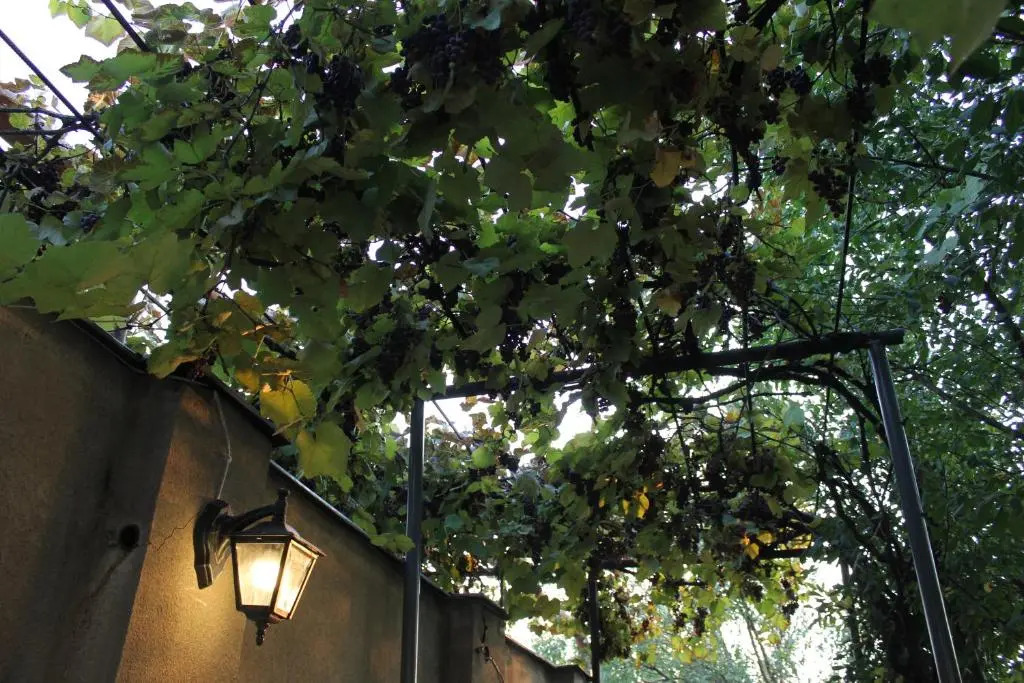 House with private garden