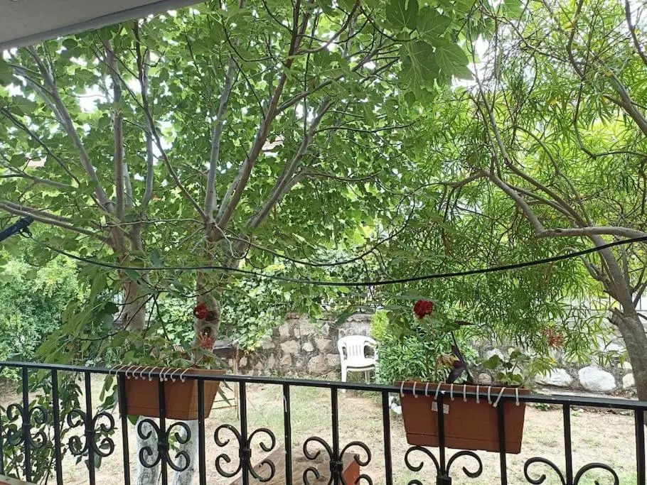 Denize 10 dk, ağaçlar içerisinde muhteşem villa