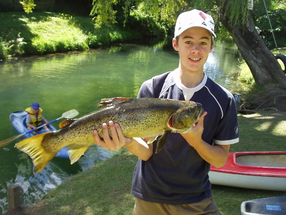 Waiteti Trout Stream Holiday Park