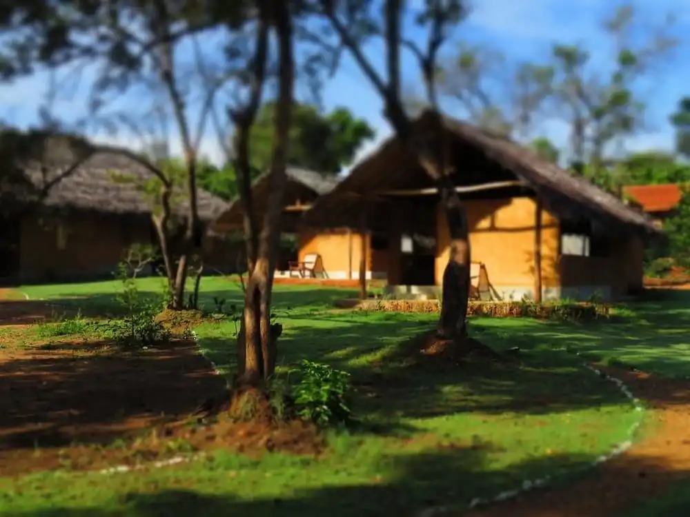 La Cloudz Sigiriya