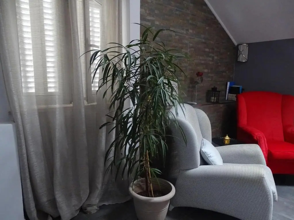 Apartment My Home