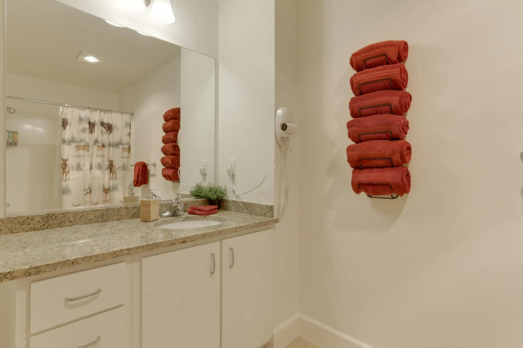 Fully furnished 1BR Apartment - Downtown Location