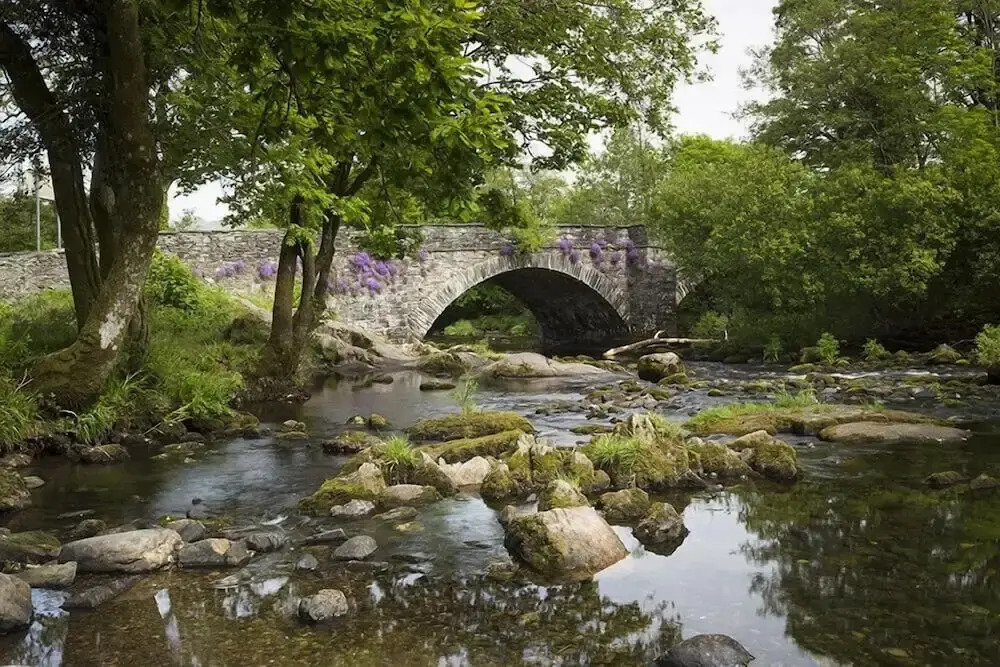 Rosewood by the River