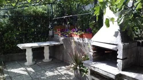 B & B Sachawasi
