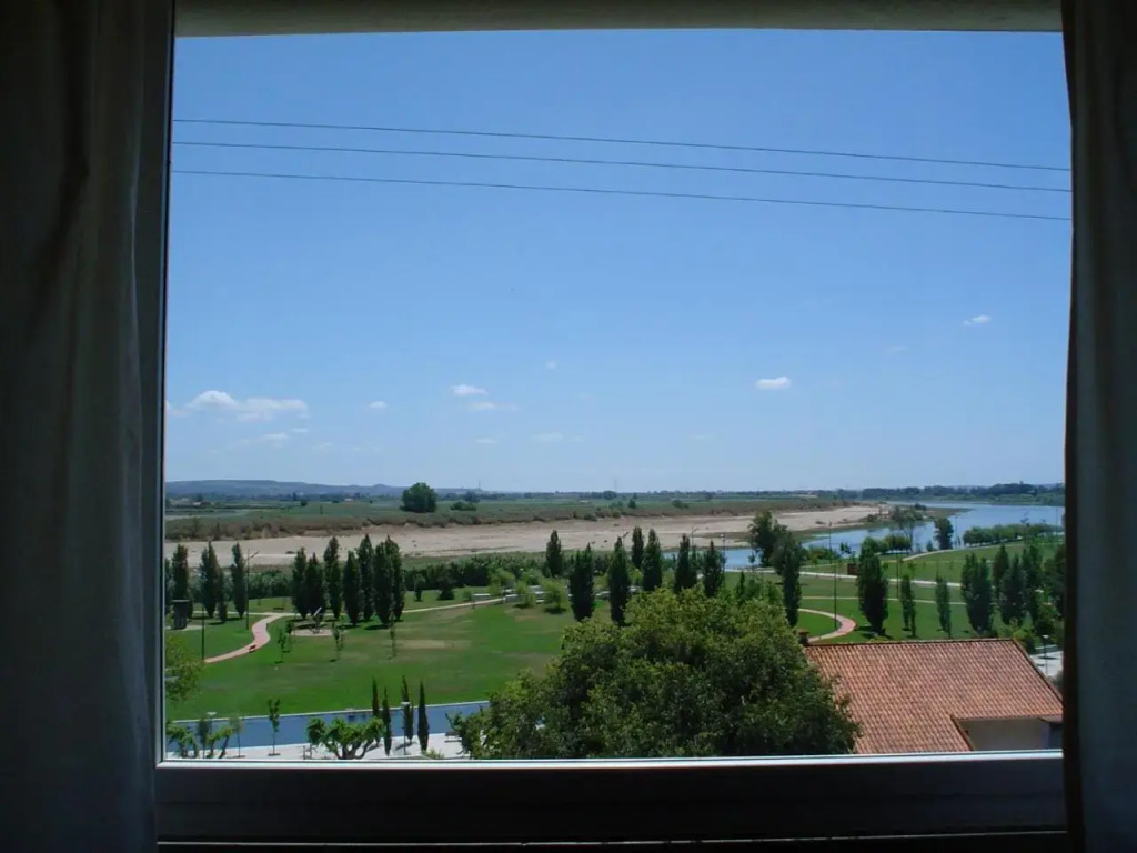 Soltejo