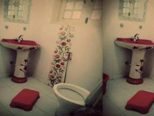 Hotel Fabulous Kashmir