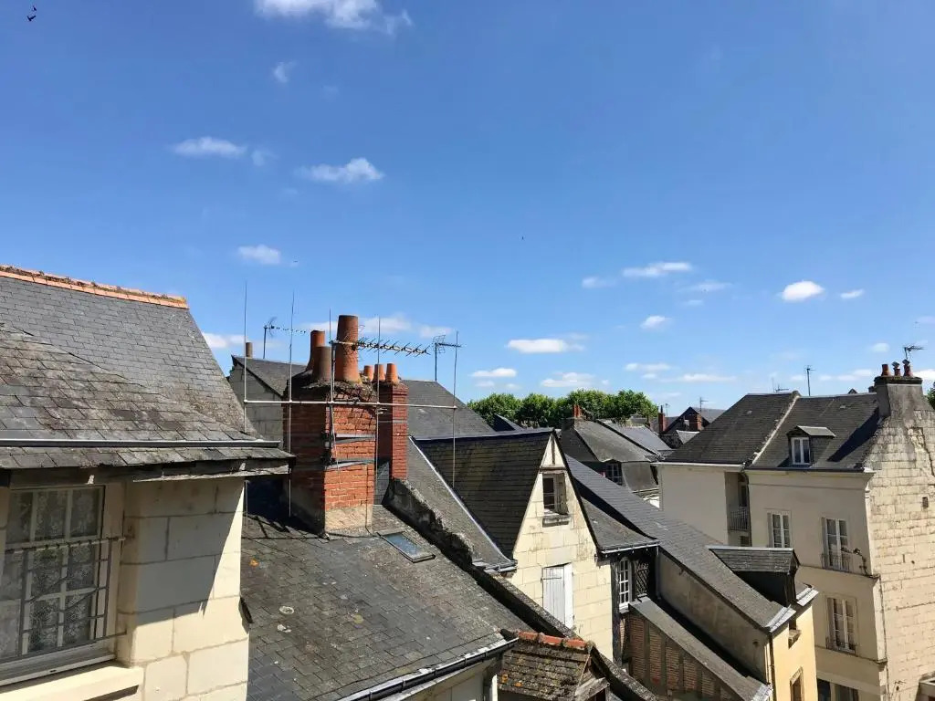 Appartements vieux Chinon