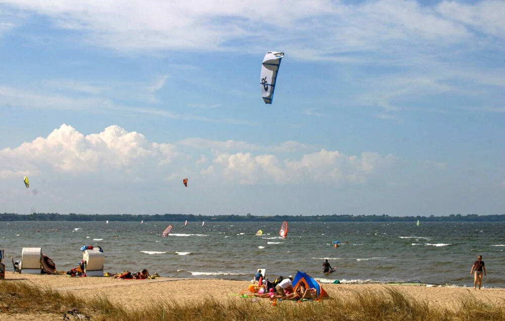 Küstenseeschwalbe