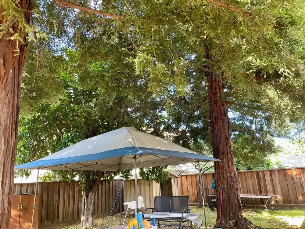 Sunnyvale Cabin