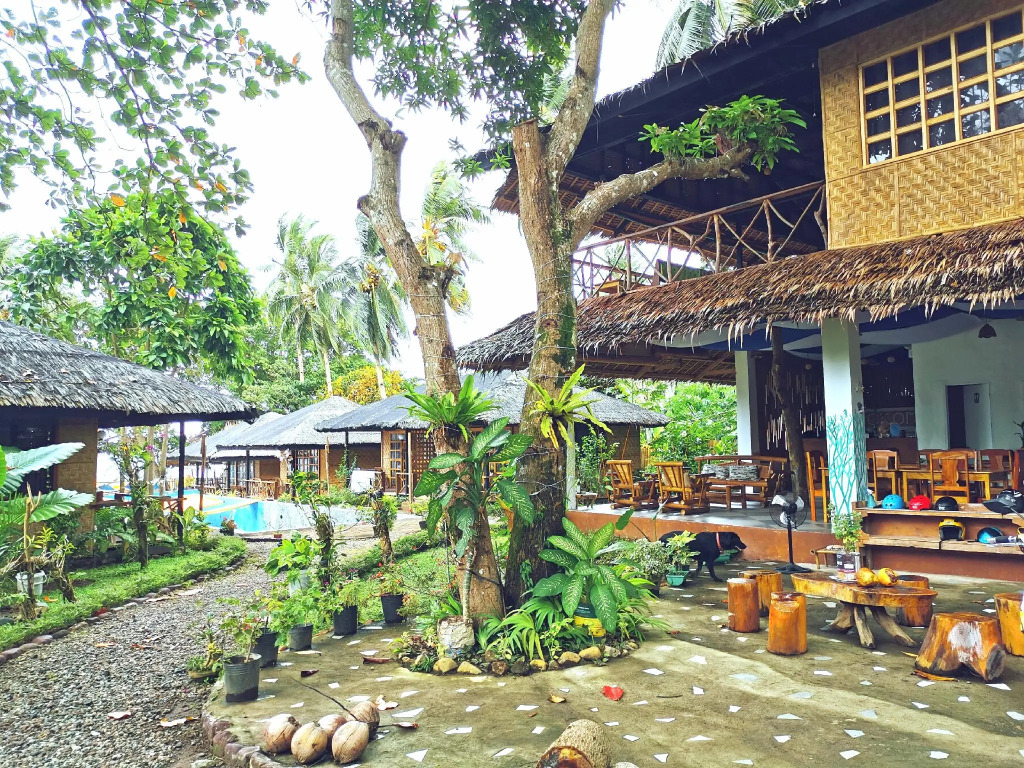 Kokomo Dive Resort Accommodation Hotel