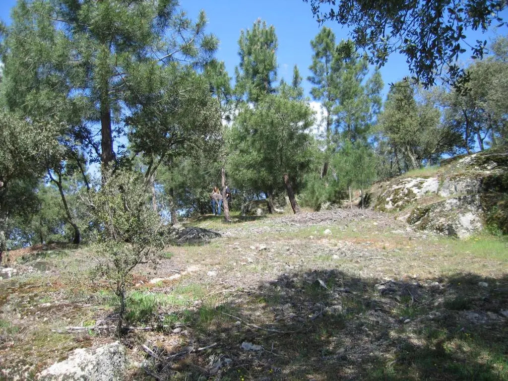 Quinta Santa Isabel