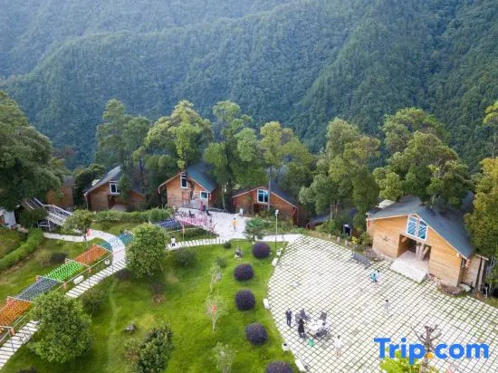 Yinxin'gu Treehouse Hotel