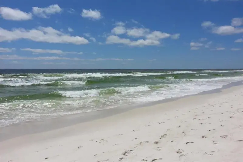 2406 Tidewater Beach Resort