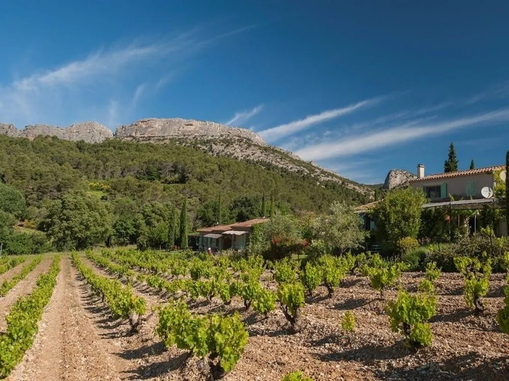 Le Grand Jardin