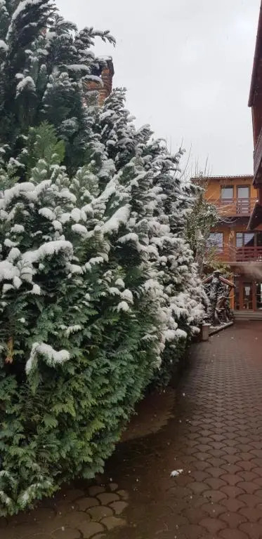 Pensiunea Casa Zarnesteana