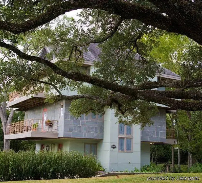 Abigailes Treehouse