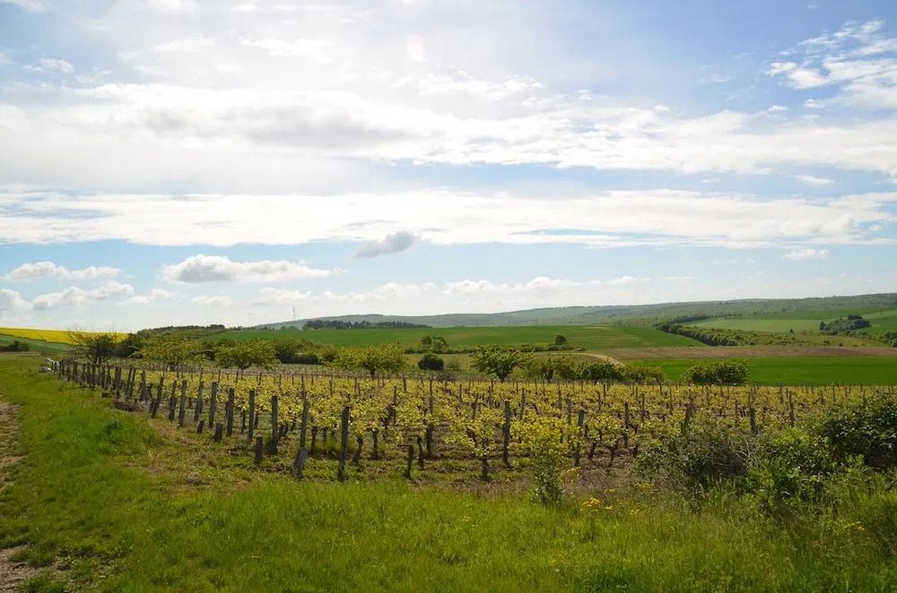Domaine Maltoff