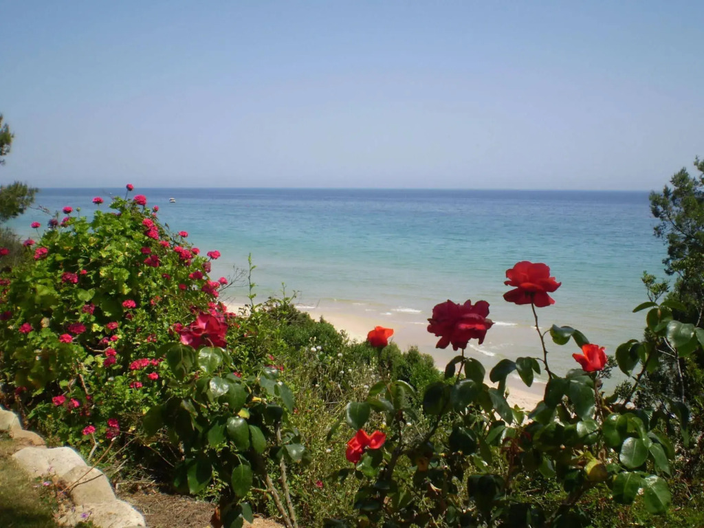 Hotel New Barcavela