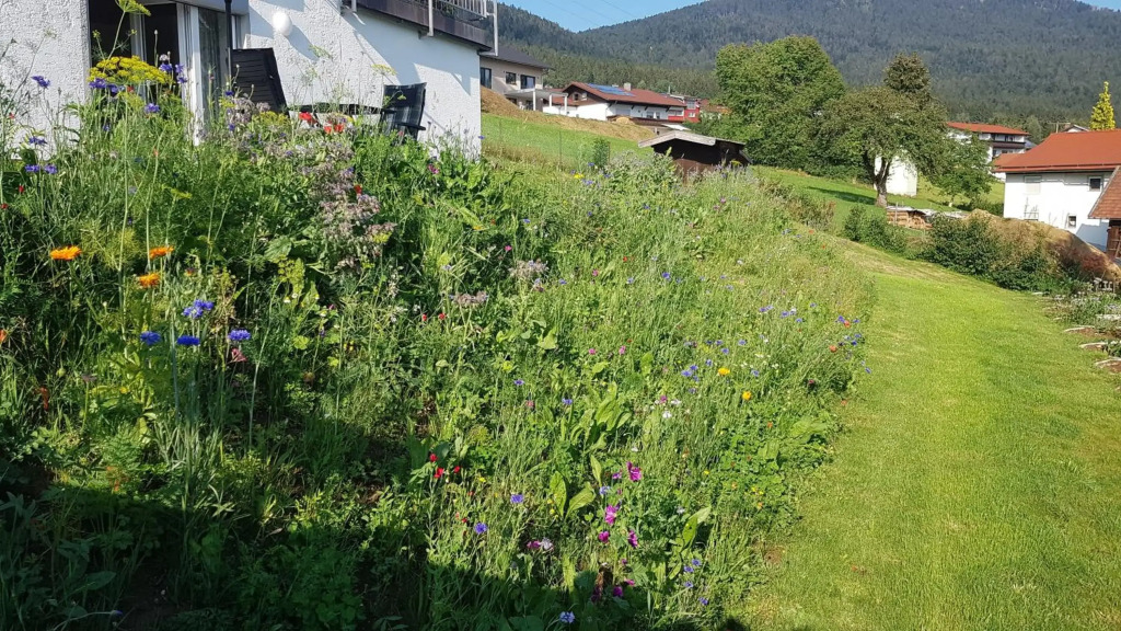 Wohnung Wiesengrün - Osserblick
