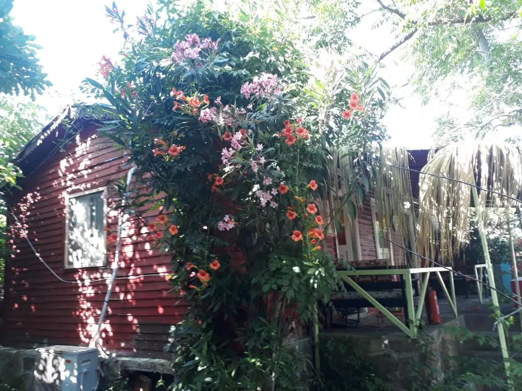 Side Tuana Garden Home