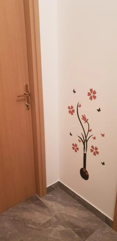 Apartmani Salic