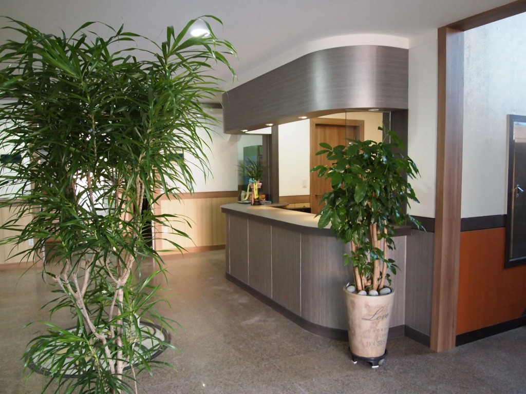 Traum Hotel & Condo