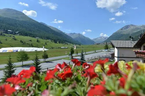 Hotel Silvestri