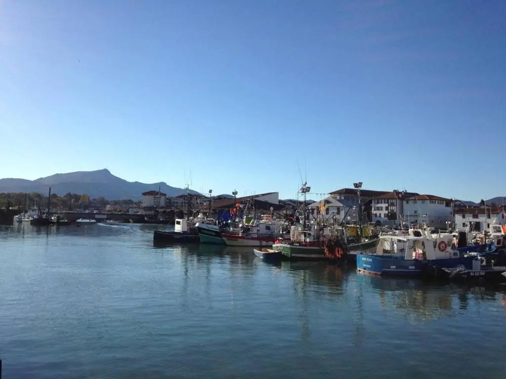 Appartement Saint-Jean-de-Luz, 1 pièce, 3 personnes - FR-1-4-512