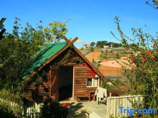 IZA Homestay