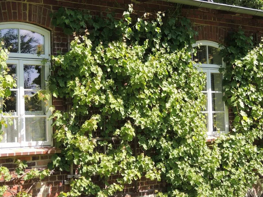 Pfarrhof Stuer